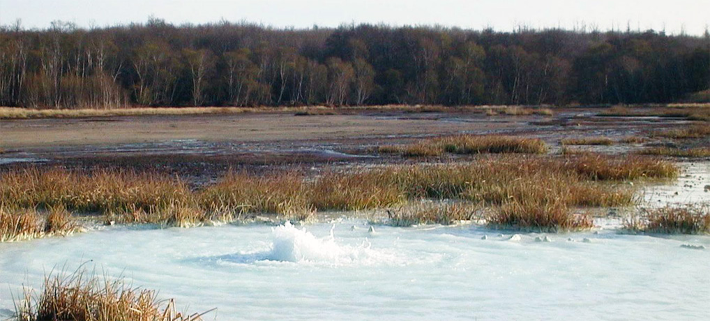 The Natural monument of Caldara Manziana