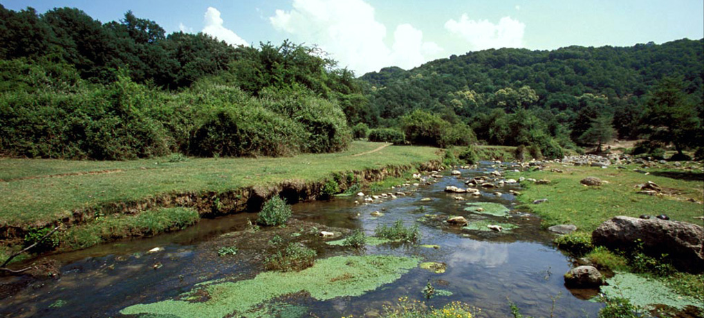 Riserva Naturale di Canale Monterano